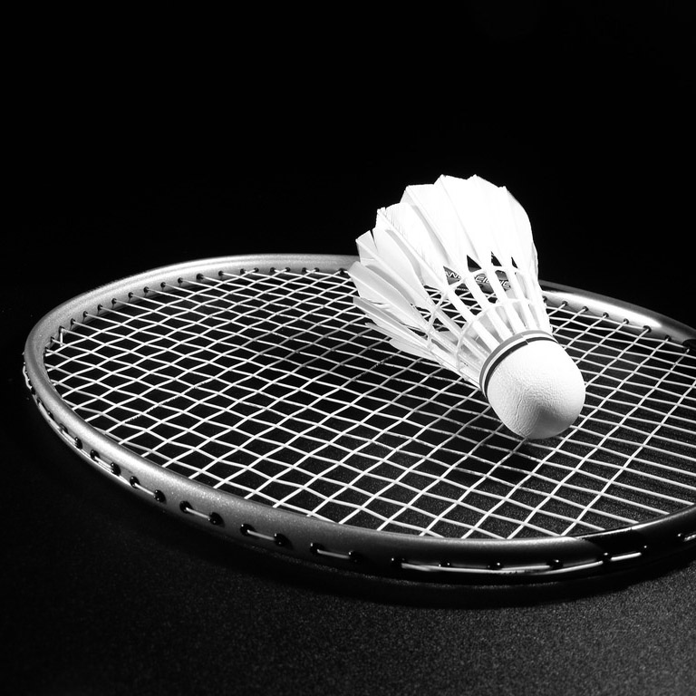 Play Badminton